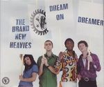 The Brand New Heavies Dream On Dreamer album cover