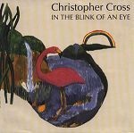 Christopher Cross In The Blink Of An Eye album cover