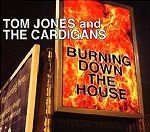 Tom Jones and The Cardigans Burning Down The House album cover
