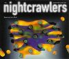 Nightcrawlers feat. John Reid Surrender Your Love album cover