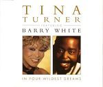 Tina Turner feat. Barry White In Your Wildest Dreams album cover
