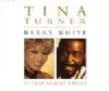 Tina Turner feat. Barry White In Your Wildest Dreams album cover