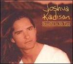 Joshua Kadison Beautiful In My Eyes album cover