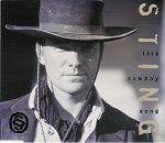 Sting feat. Pato Banton This Cowboy Song album cover