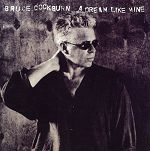 Bruce Cockburn A Dream Like Mine album cover