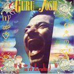 Guru Josh Whose Law (Is It Anyway) album cover