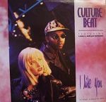 Culture Beat feat. Lana E. and Jay Supreme I Like You album cover