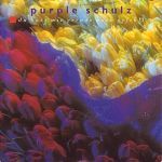 Purple Schulz Du hast mir gerade noch gefehlt album cover