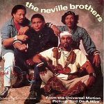 Neville Brothers Bird On A Wire album cover
