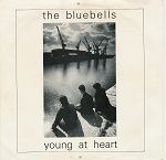 The Bluebells Young At Heart album cover