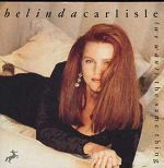 Belinda Carlisle (We Want) The Same Thing album cover