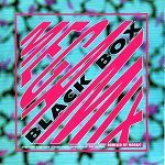 Blackbox Megamix album cover