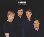 Blumfeld Tausend Tränen tief album cover