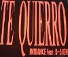 Intrance feat. D-Sign Te quierro album cover