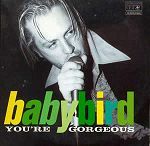 Babybird You're Gorgeous album cover