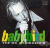 Babybird You're Gorgeous album cover