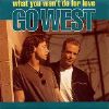 Go West What You Won't Do For Love album cover